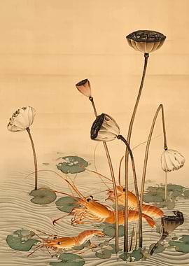 Shrimp and Lotus Pods in Water