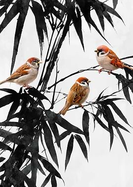 Sparrows on Bamboo Branches