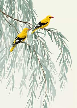 Two Yellow Birds on Willow Branches