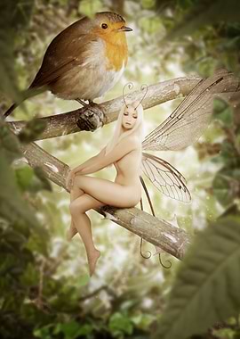 Faeries Rest