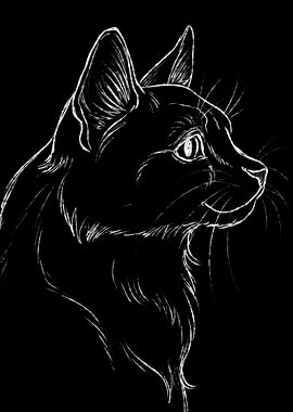 White Cat Sketch on Black Background