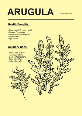 Arugula Health and Culinary Information