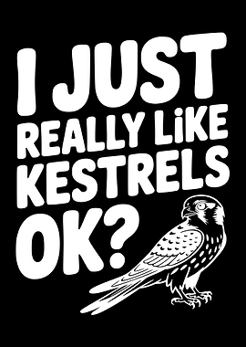 I Just Really Like Kestrels OK?