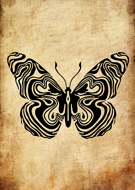 Black and White Butterfly on Textured Background