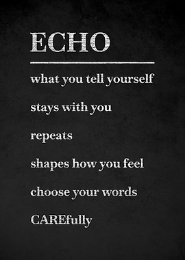 Echo Definition Poster