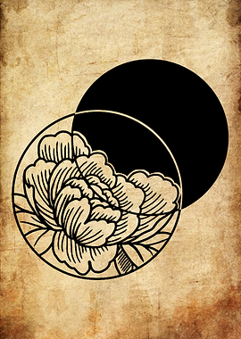 Peony and Eclipse Illustration