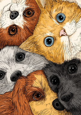 Close-up of Adorable Animal Faces