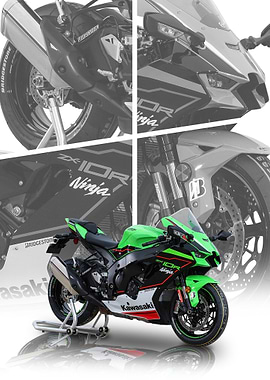 Kawasaki Ninja ZX-10R Motorcycle