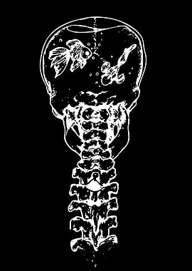 Skull with Fishbowl Head and Spine