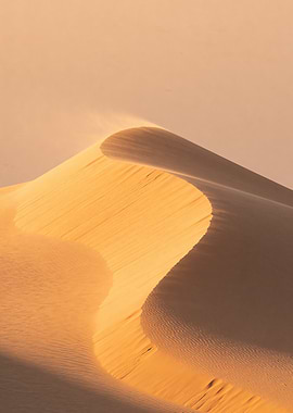 Golden Sand Dunes in Desert