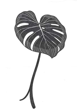3d Monstera Leaf Illustration