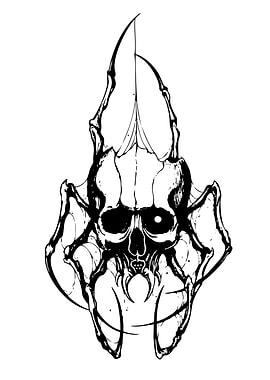 Gothic Skull Spider Web Design