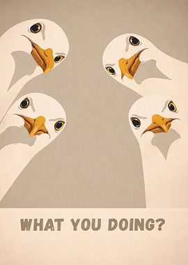 Four Geese Asking 'What You Doing?'