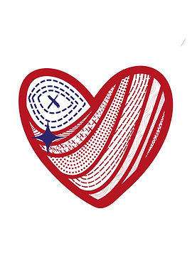 Unique Heart with American Flag Motifs