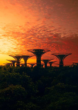 Gardens by the Bay at Sunrise