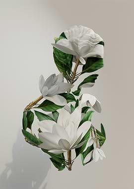 White Magnolia Flowers and Leaves