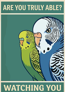 Budgies Watching You