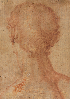 Drawing of a Head from Behind