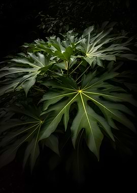 Lush Green Leaves with Yellow Veins