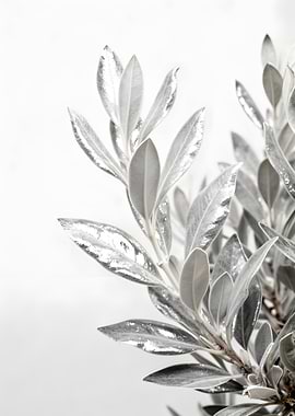 Silver Leaves on White Background
