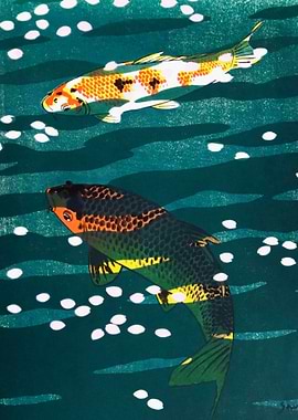 Two Koi Fish Swimming in Water