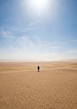 Lone figure in vast desert landscape