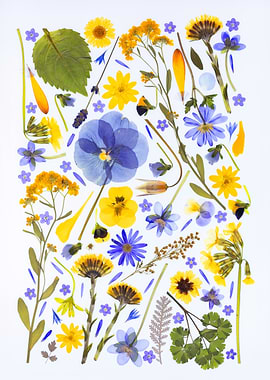 Pressed Flowers and Leaves Arrangement