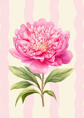 Pink Peony Flower with Striped Background