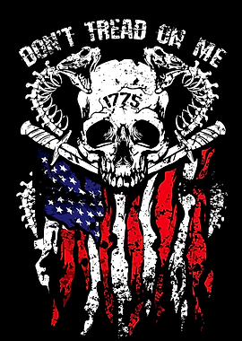 Don't Tread On Me Skull Flag