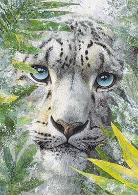 Detailed Snow Leopard Blue Eyes