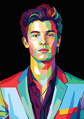 Shawn Mendes Pop Art