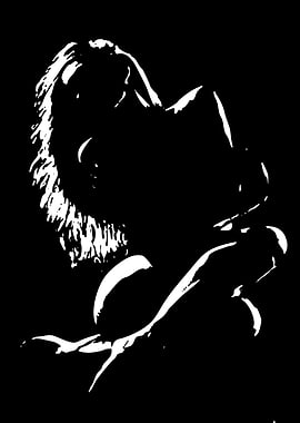 Silhouette of a woman in repose