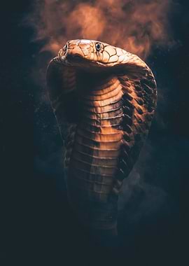 Majestic Cobra in Smoke