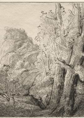 Etching of a Forest Landscape