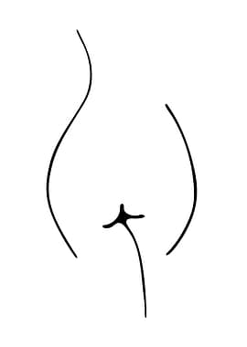 Minimalist Line Art of Female Form