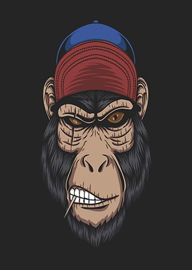 Chimpanzee wearing a baseball cap