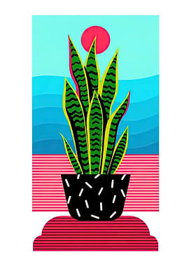 Snake Plant in a Pot with Sunset