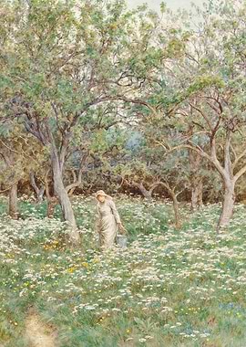 Woman in a field of flowers