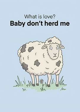Funny sheep asking about love