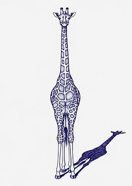 Giraffe and its Shadow