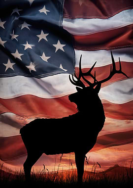 Deer Silhouette Against American Flag Sunset