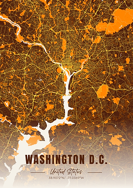 Washington D.C. Map Art