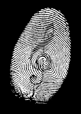 Black and White Fingerprint