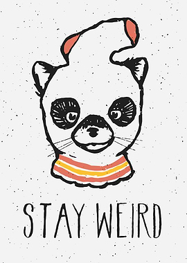 Stay Weird Panda Illustration