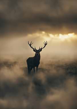 Majestic Stag in Misty Landscape