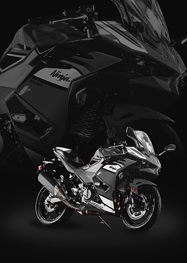 Kawasaki Ninja 500 Motorcycle