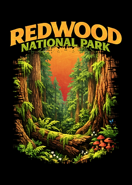 Redwood National Park Illustration