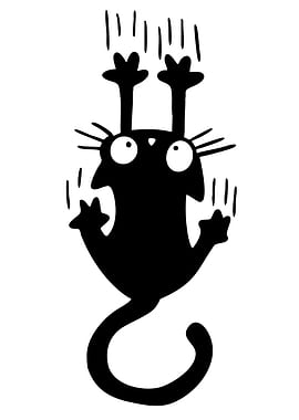 Scared Black Cat Hanging On