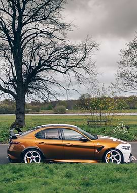 Alfa Romeo Giulia GTAm