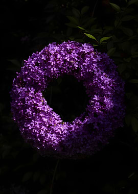 Purple Lilac Wreath in Sunlight